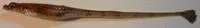 Alligatorfish (Aspidophoroides monopterygius)