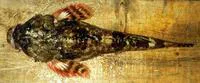 Armorhead sculpin (Gymnocanthus galeatus)