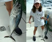 Black skipjack (Euthynnus lineatus)