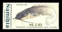 Broadhead catfish (Clariallabes platyprosopos)