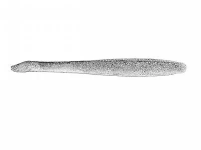Graveldiver (Scytalina cerdale)