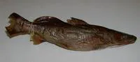Kampoyo (Bagrus meridionalis)
