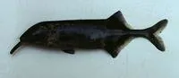 Longnose stonebasher (Gnathonemus longibarbis)