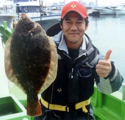 Marbled flounder (Pseudopleuronectes yokohamae)