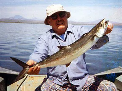 Monterey Spanish mackerel (Scomberomorus concolor)