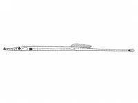 Opossum pipefish (Microphis brachyurus lineatus)
