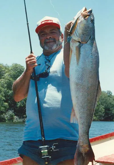Orangemouth weakfish (Cynoscion xanthulus)