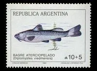 Otuno (Olivaichthys viedmensis)