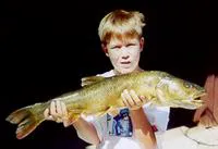 Sacramento pikeminnow (Ptychocheilus grandis)