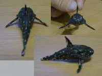 Spiny cat-fish (Agamyxis albomaculatus)